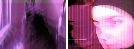 melting icecapped cat, self portrait