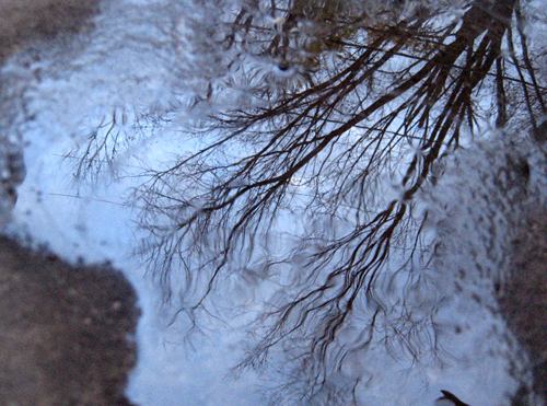 If you were a twee, what kind of twee would you be?