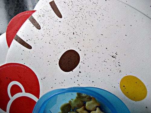 hello_goldfish hello_goldfish