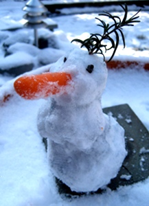 Our snowman looks more like a snow bird. 