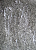 sage green vaseline dream