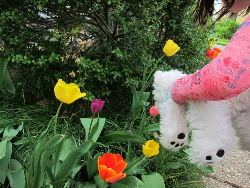 Mimi's fantastic, glowing, pink cast.